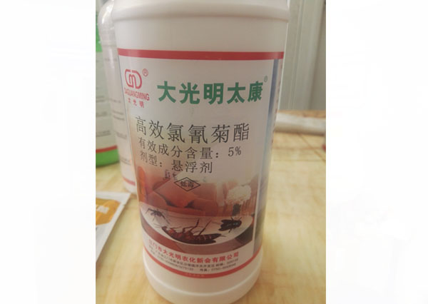 高效氯氰菊酯